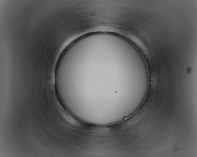X0000101121372200807171949