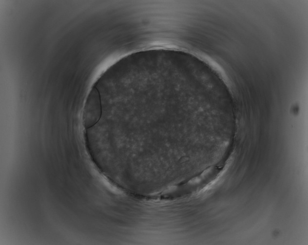 X0000101121373200807171949