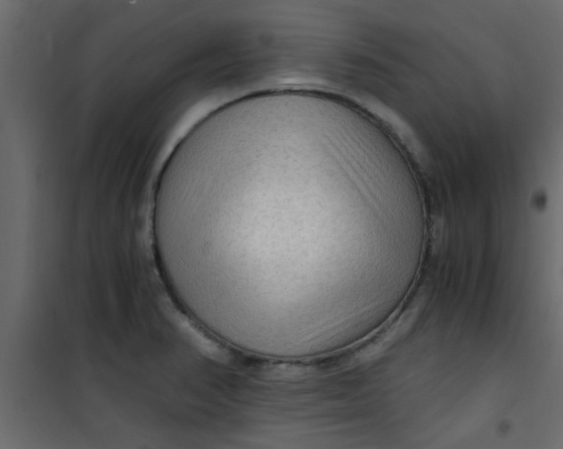 X0000101121374200807171949