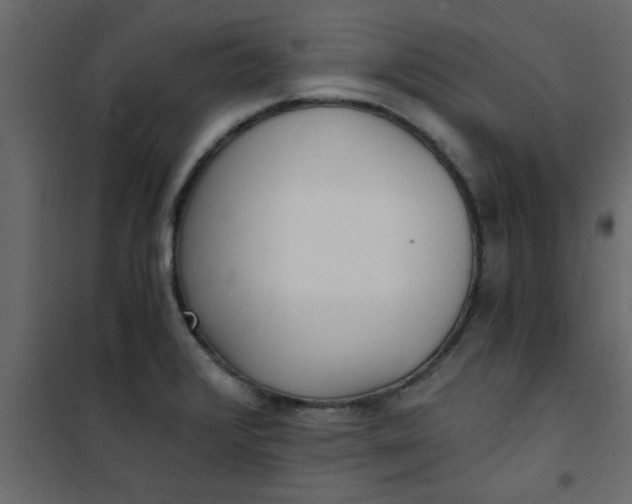 X0000101121376200807171949