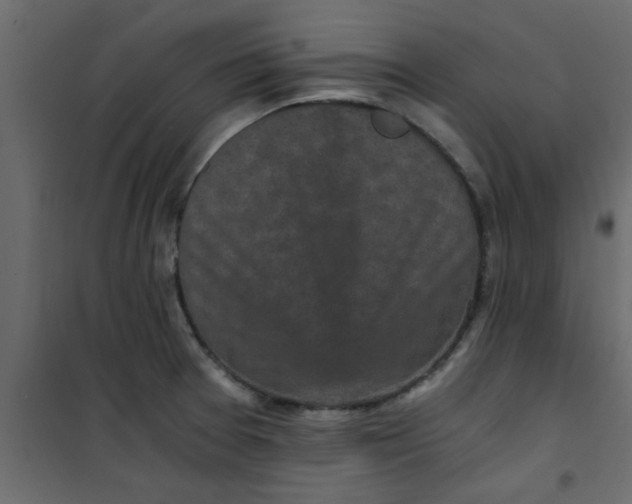 X0000101121377200807171949