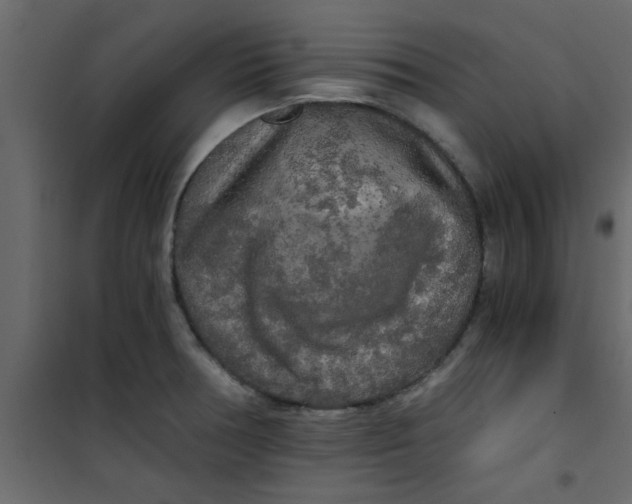 X0000101121378200807171949