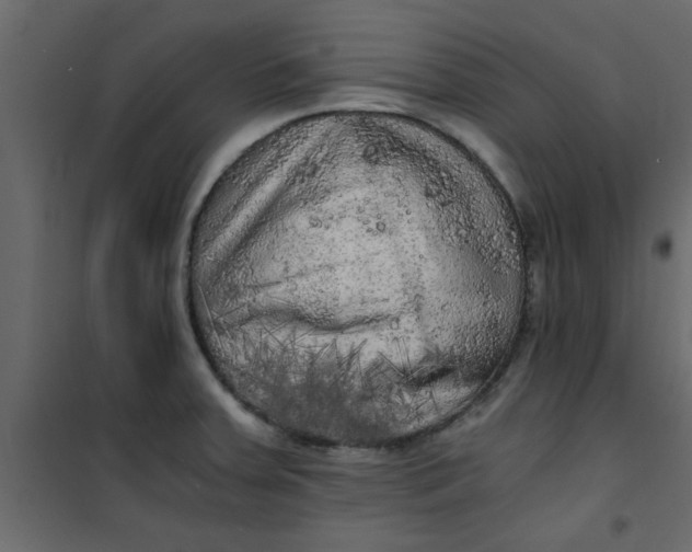 X0000101121379200807171949