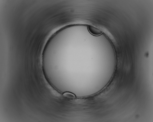 X0000101121380200807171949