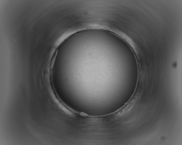 X0000101121381200807171949