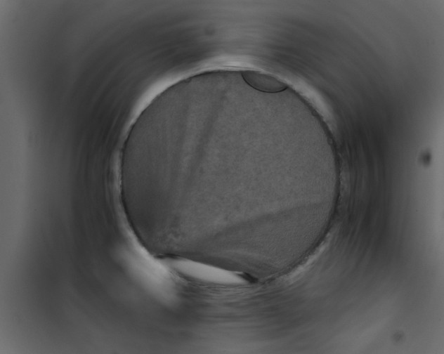 X0000101121382200807171949