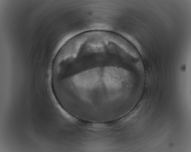 X0000101121383200807171949