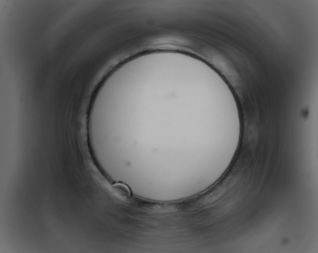 X0000101121384200807171949