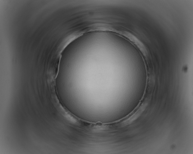 X0000101121385200807171949