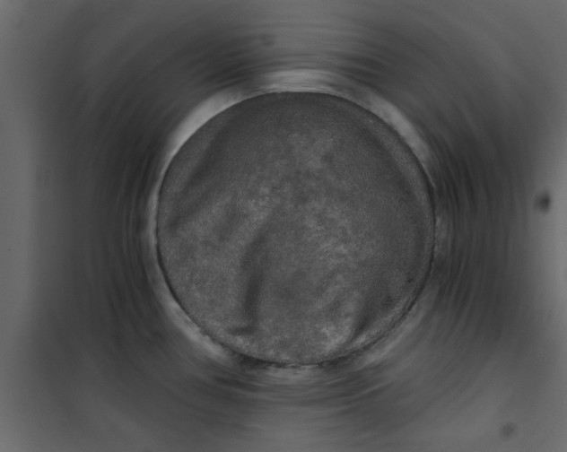 X0000101121386200807171949