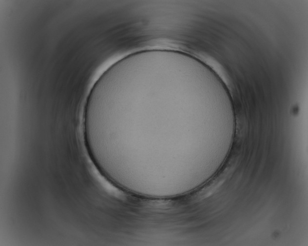X0000101121387200807171949