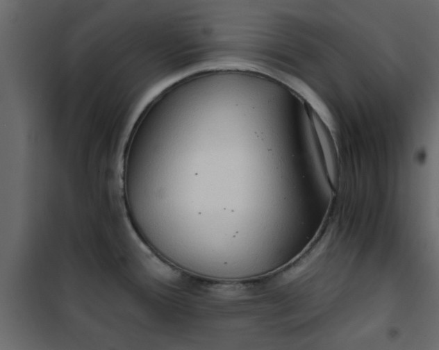 X0000101121388200807171949
