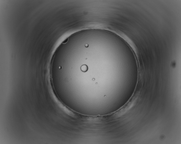 X0000101121389200807171949