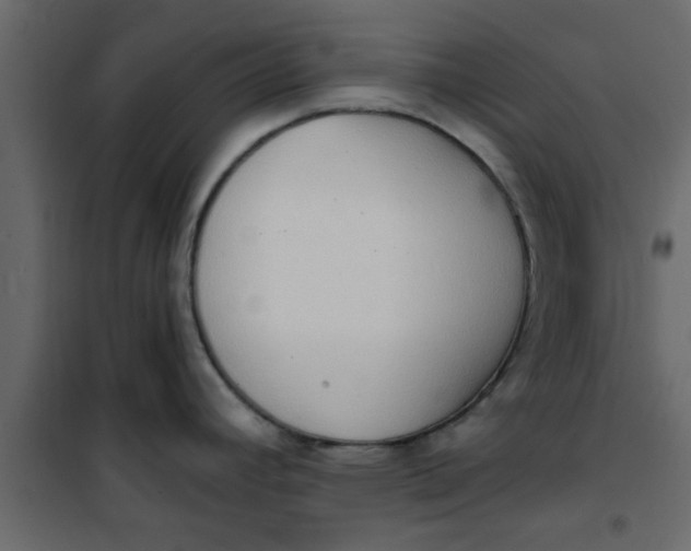 X0000101121392200807171949