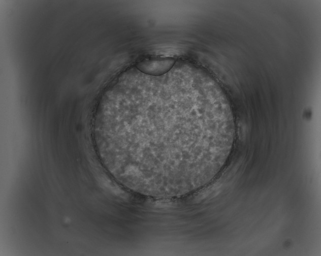 X0000101121393200807171949