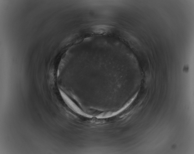 X0000101121394200807171949