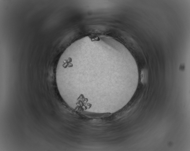 X0000101121395200807171949