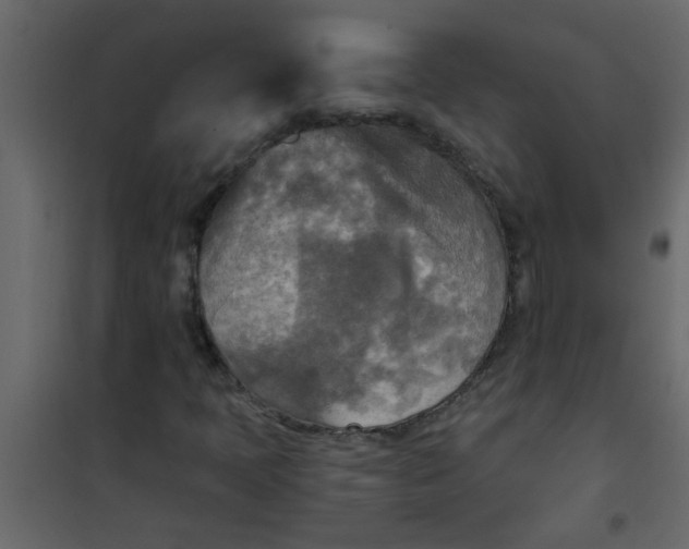 X0000101121397200807171949