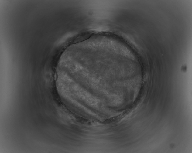 X0000101121398200807171949