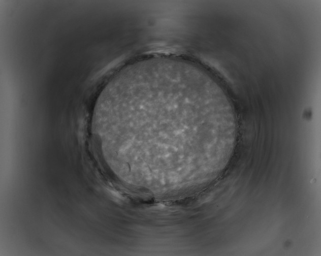 X0000101121399200807171949