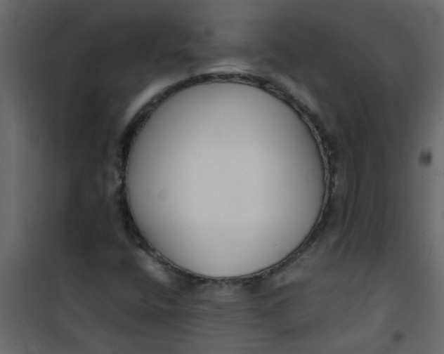 X0000101121400200807171949