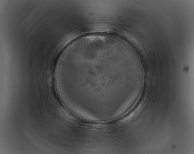 X0000101121401200807171949