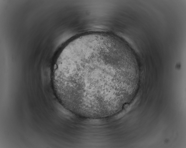 X0000101121402200807171949
