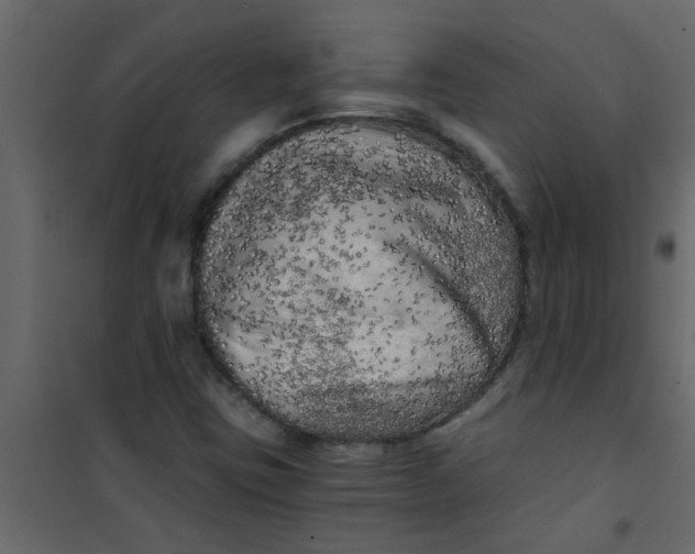 X0000101121403200807171949