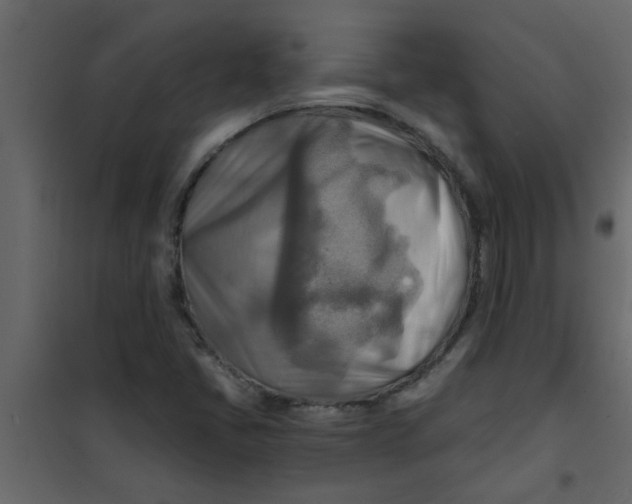 X0000101121405200807171949