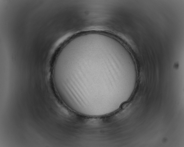 X0000101121406200807171949