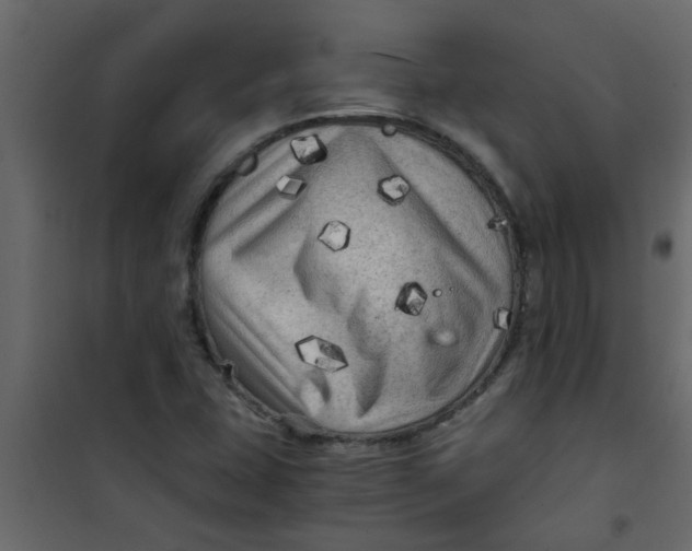 X0000101121407200807171949