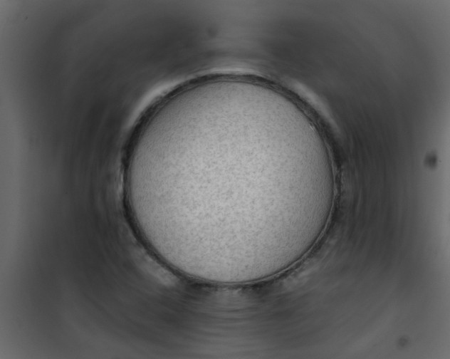 X0000101121408200807171949