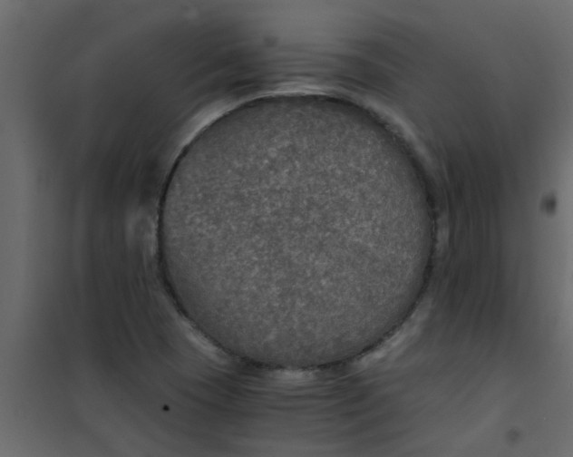 X0000101121409200807171949