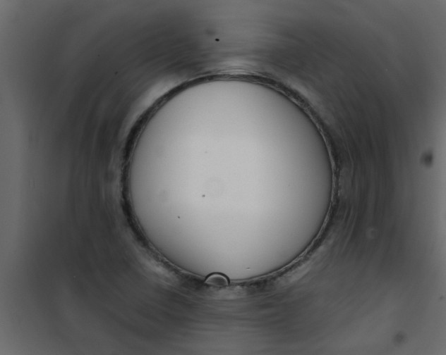 X0000101121410200807171949