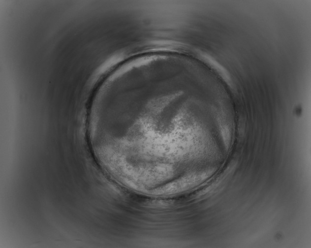 X0000101121411200807171949