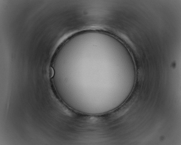 X0000101121412200807171949
