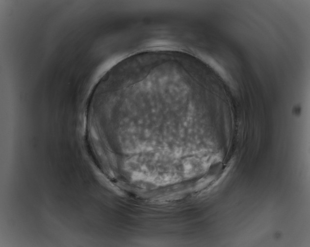 X0000101121413200807171949