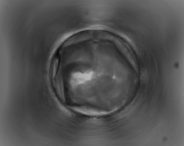 X0000101121414200807171949