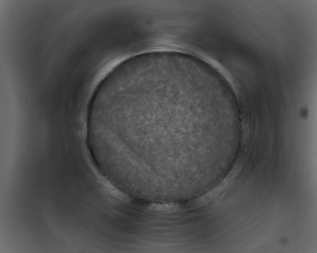X0000101121415200807171949