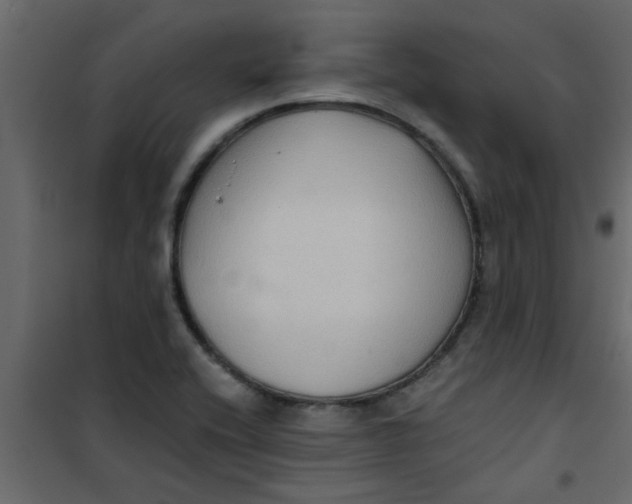X0000101121416200807171949