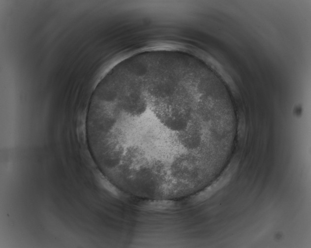 X0000101121417200807171949