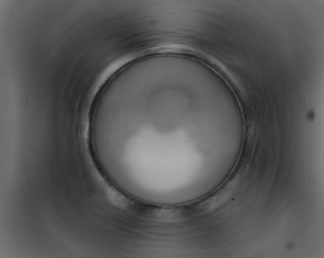 X0000101121418200807171949