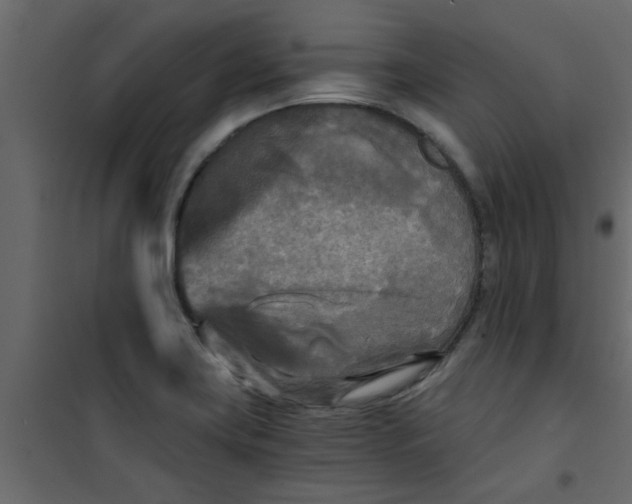 X0000101121419200807171949