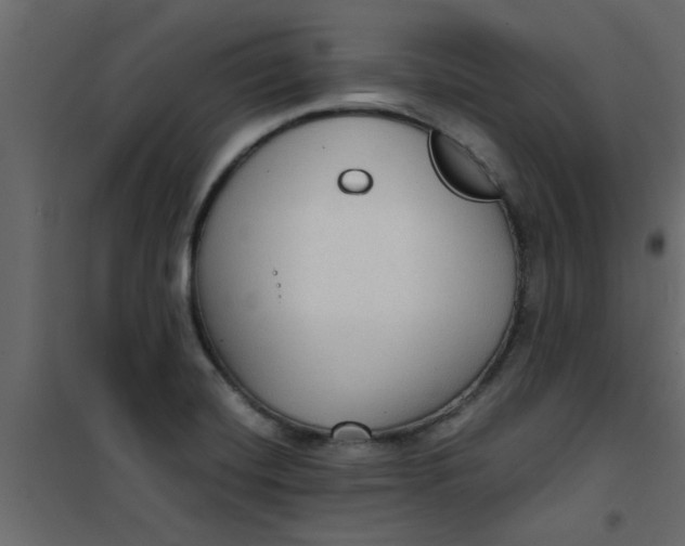 X0000101121420200807171949