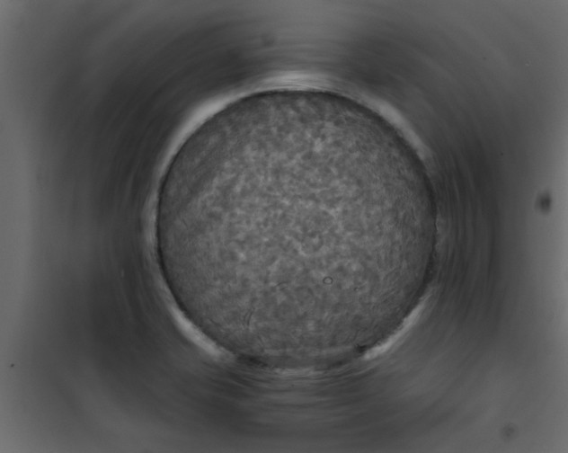 X0000101121421200807171949