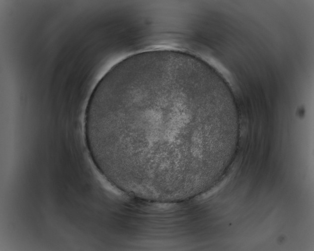 X0000101121423200807171949