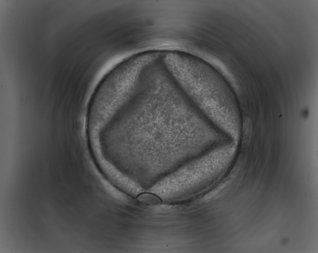 X0000101121424200807171949