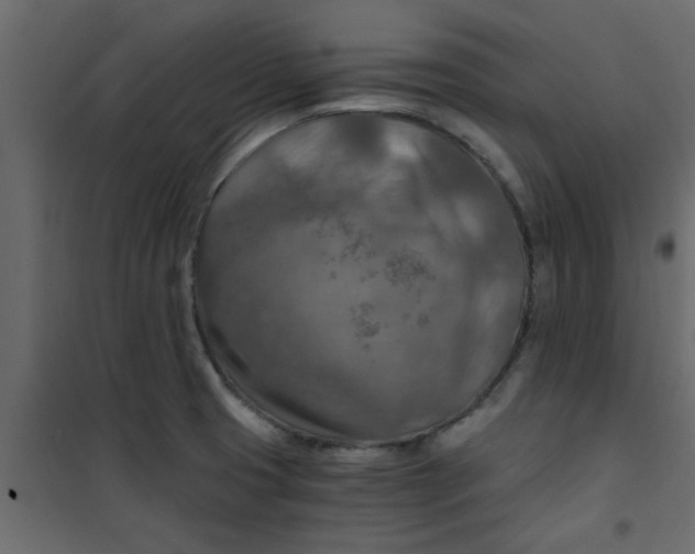X0000101121425200807171949