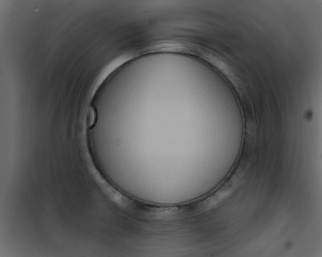 X0000101121426200807171949