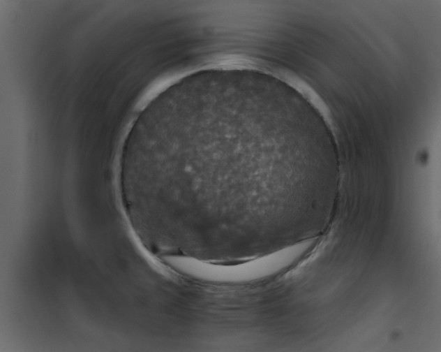 X0000101121429200807171949